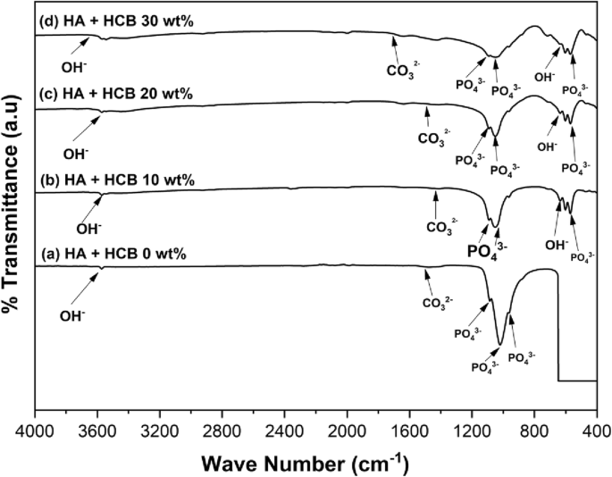 Bioceramic Hydroxyapatite Based Scaffold With A Porous Structure Using Honeycomb As A Natural Polymeric Porogen For Bone Tissue Engineering Biomaterials Research Full Text