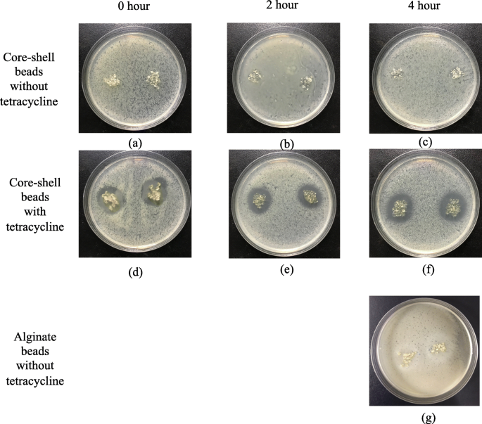 floating drug delivery system research articles figure 7