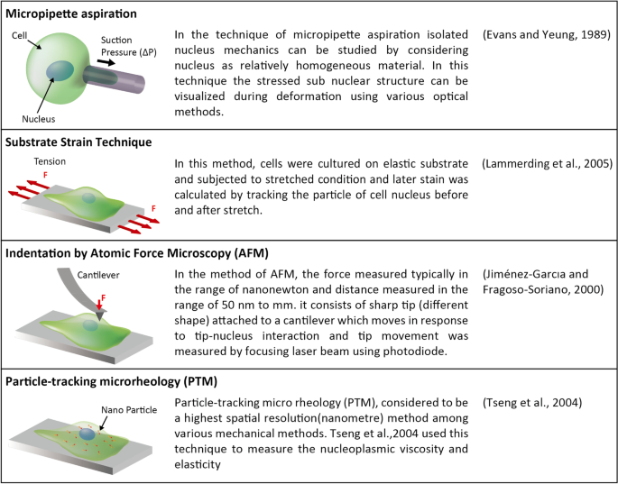 Characterisation of physical and mechanical properties of seven particulate  materials proposed as traction enhancers