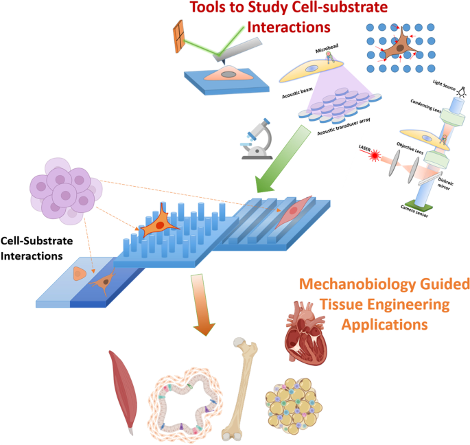 Neuronal Cells Confinement by Micropatterned Cluster-Assembled Dots with  Mechanotransductive Nanotopography