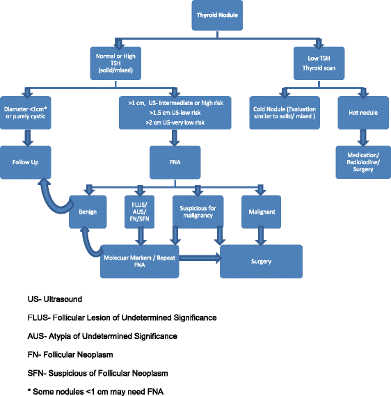 Thyroid nodule update on diagnosis and management | Clinical Diabetes and  Endocrinology | Full Text