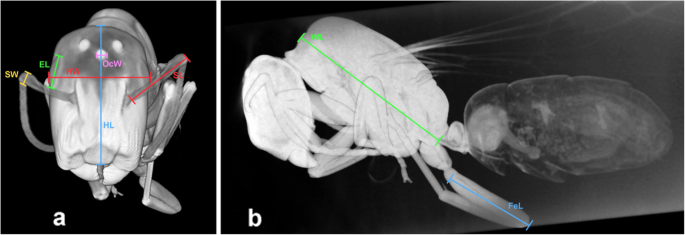 figure 18