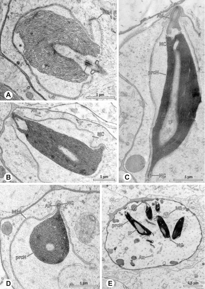 figure 19