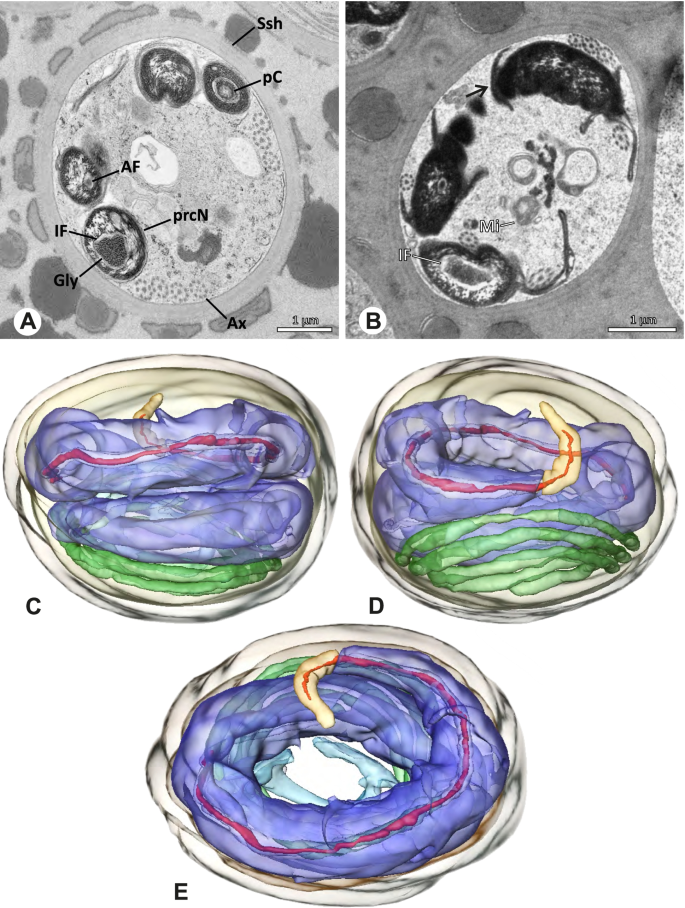 figure 66