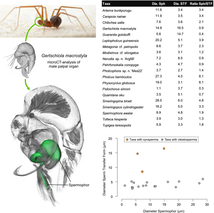 figure 72