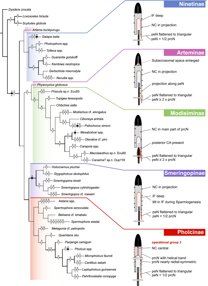 figure 77