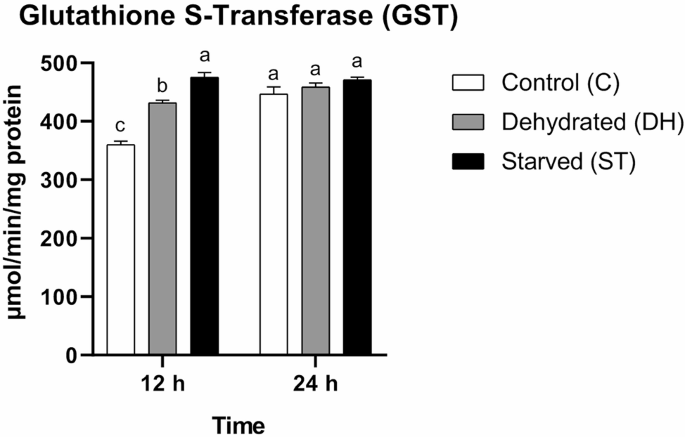 Biochemical and Hsp70 gene expression changes in Apis mellifera workers following water and food deprivation | BMC Zoology