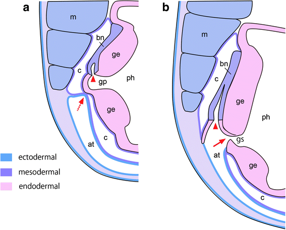 figure 8