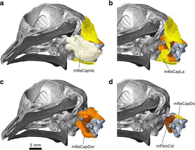 figure 18