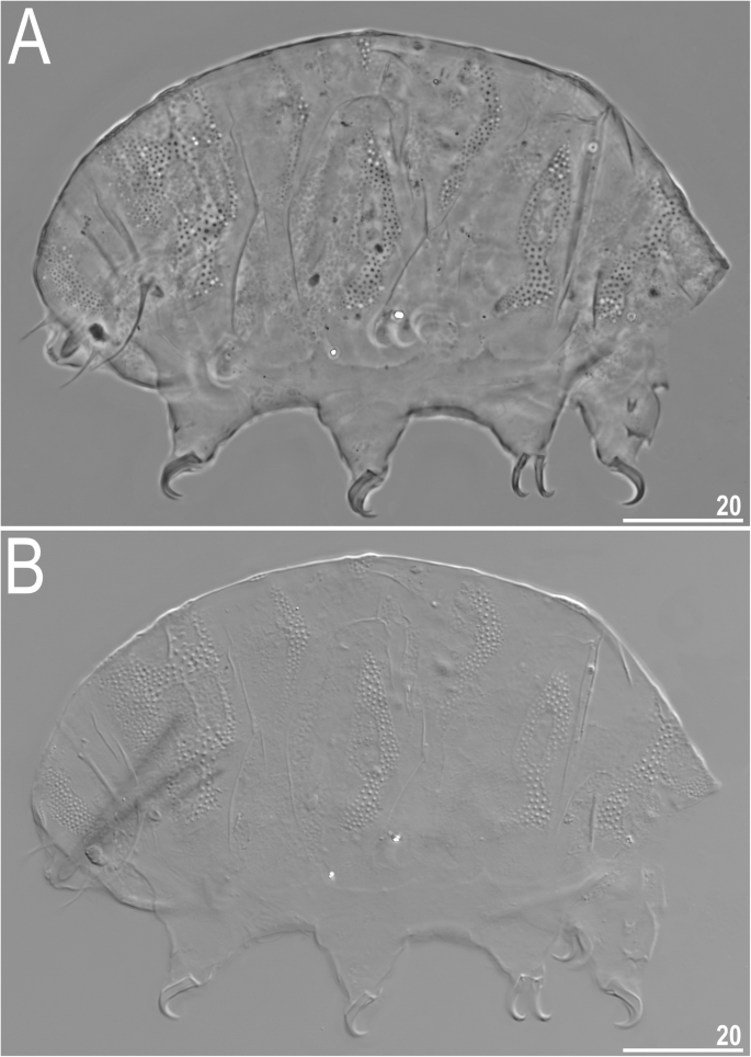 figure 16