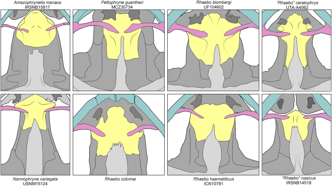 figure 11