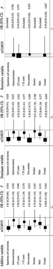 Associations Of Genetic Polymorphisms Of The Transporters Organic Cation Transporter 2 Oct2 Multidrug And Toxin Extrusion 1 Mate1 And Atp Binding Cassette Subfamily C Member 2 Abcc2 Associations Of Genetic Polymorphisms Of The Transporters Organic Cation Transporter 2 Oct2 Multidrug And Toxin Extrusion 1 Mate1 And Atp Binding Cassette Subfamily C Member 2 Abcc2