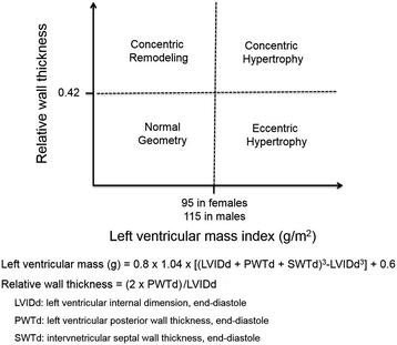 Role of strain echocardiography in patients with hypertension, Clinical  Hypertension