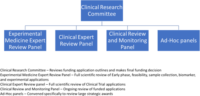 The value of the patient and public contribution to cancer research UK's  review of covid-19 impact on its clinical research portfolio | Research  Involvement and Engagement | Full Text