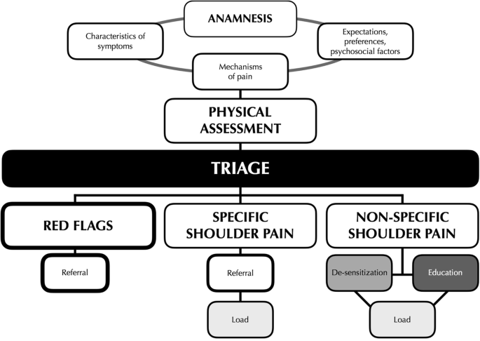 Towards an integrated clinical framework for patient with shoulder pain |  Archives of Physiotherapy | Full Text