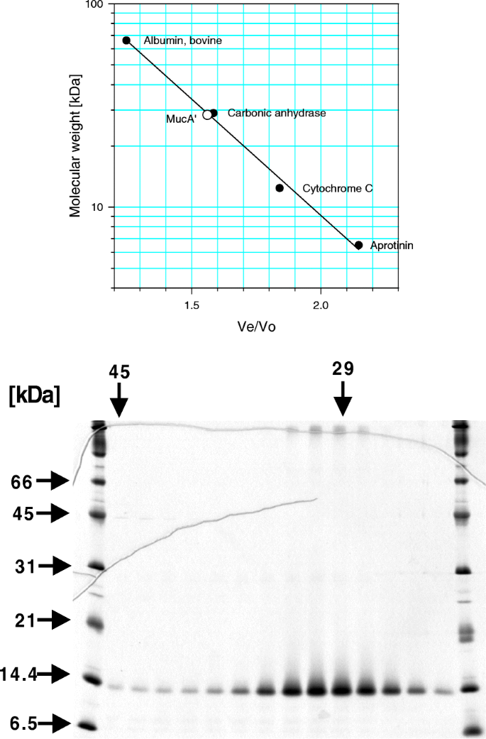 Purification And Interactions Of The Muca And Mucb Proteins Constituting The Dna Polymerase Ri Genes And Environment Full Text