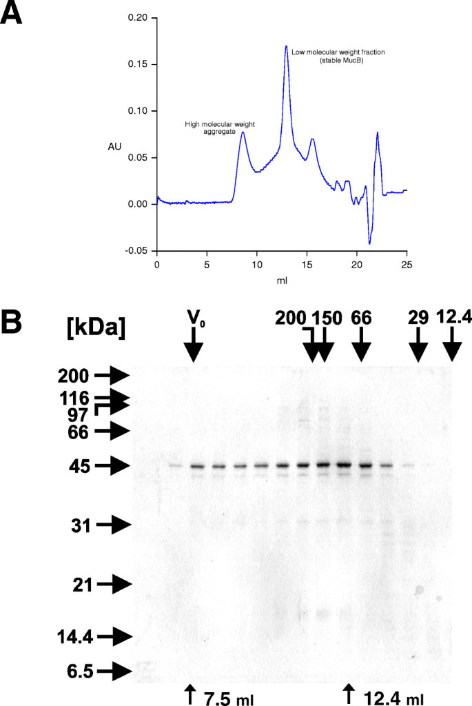 Purification And Interactions Of The Muca And Mucb Proteins Constituting The Dna Polymerase Ri Genes And Environment Full Text