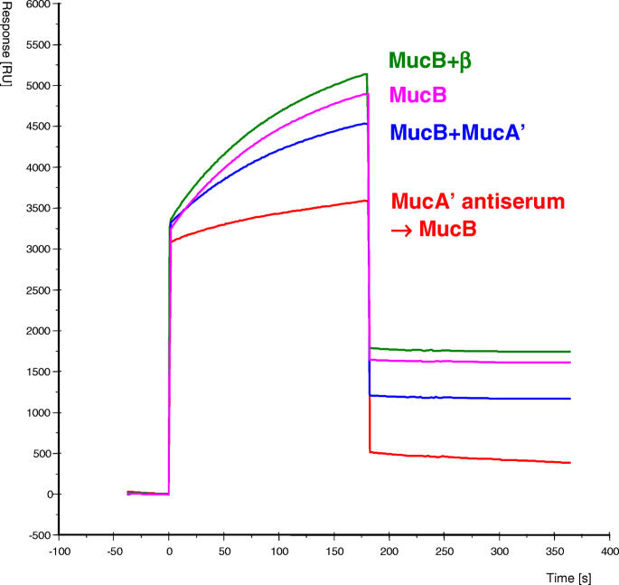 Purification And Interactions Of The Muca And Mucb Proteins Constituting The Dna Polymerase Ri Genes And Environment Full Text