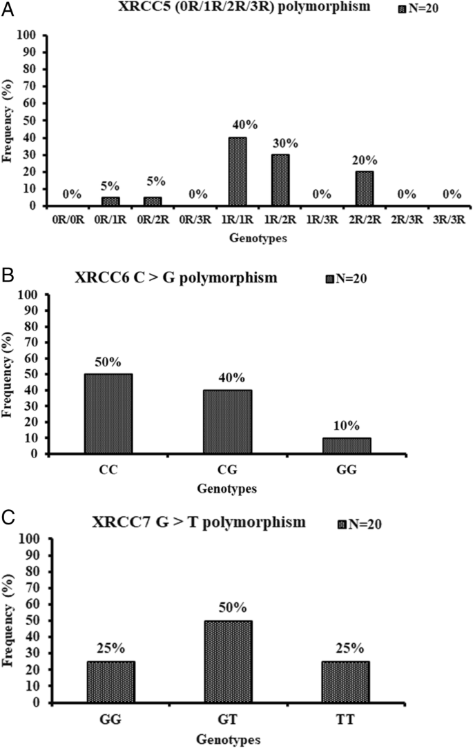 Radio Adaptive Response And Correlation Of Non Homologous End Joining Repair Gene Polymorphisms Xrrc5 3r 2r 1r 0r Xrcc6 C G And Xrcc7 G T In Human Peripheral Blood Mononuclear Cells Exposed To Gamma Radiation Genes And Environment