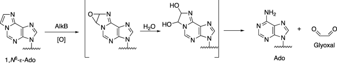 figure 21