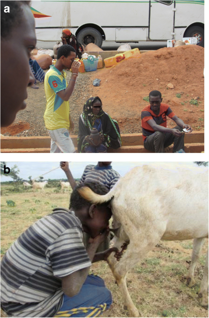 Milk handling practices and consumption behavior among Borana pastoralists  in southern Ethiopia | Journal of Health, Population and Nutrition | Full  Text