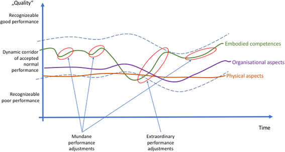 Variation and adaptation: learning from success in patient safety ...