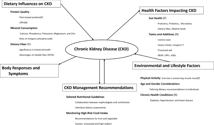glutathione ckd Chronic kidney disease and diet | Renal Replacement Therapy