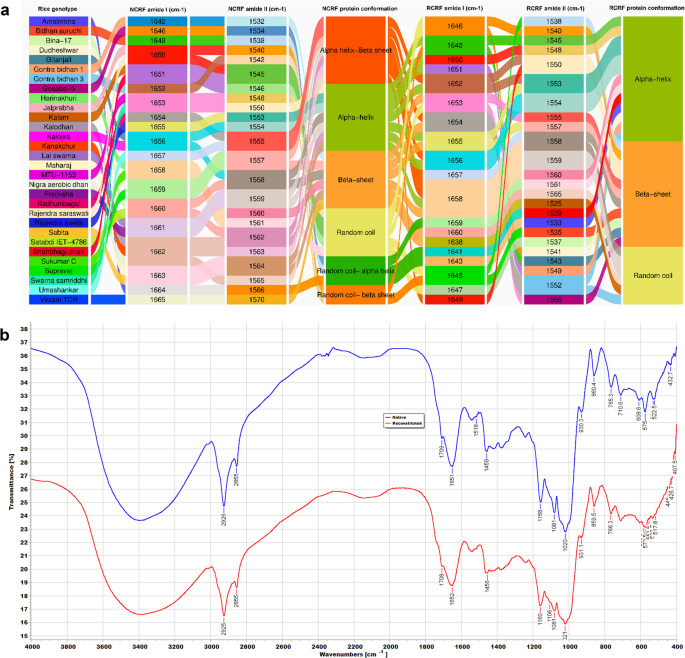 Ensuring safe infant nutrition: amylose-enriched reconstituted rice ...