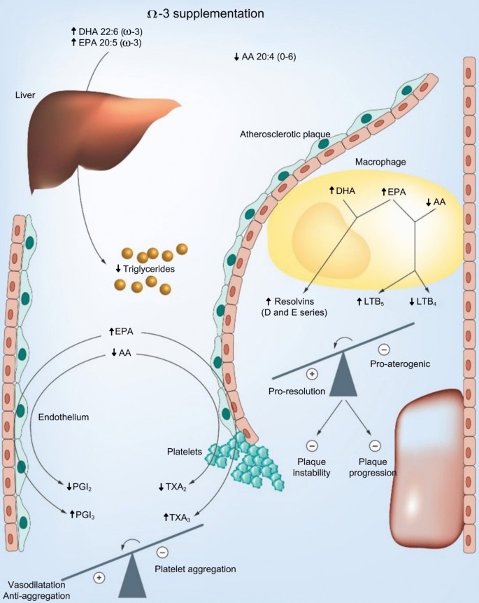 Effects of omega-3 fatty acids (n-3 PUFAs) on cardiovascular and ...