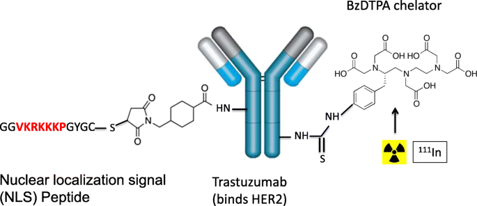 Auger Electrons For Cancer Therapy A Review Ejnmmi Radiopharmacy And Chemistry Full Text