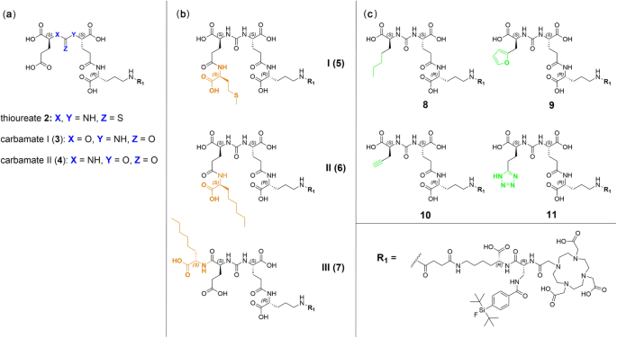 Design Of Psma Ligands With Modifications At The Inhibitor Part An Approach To Reduce The Salivary Gland Uptake Of Radiolabeled Psma Inhibitors Ejnmmi Radiopharmacy And Chemistry Full Text