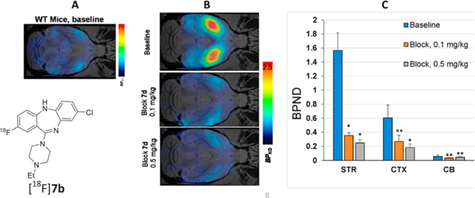 One-Step, Rapid, 18F–19F Isotopic Exchange Radiolabeling of  Difluoro-dioxaborinins: Substituent Effect on Stability and In Vivo  Applications