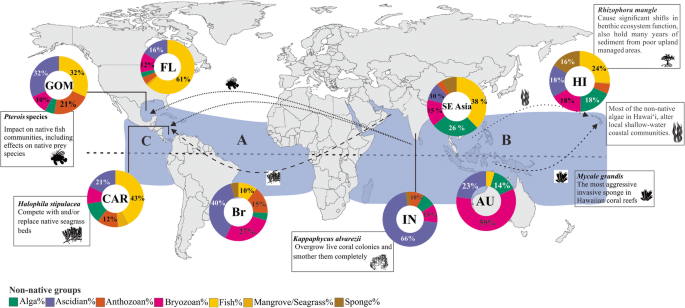 The Marine Biodiversity of the Mediterranean Sea in a Changing Climate: The  Impact of Biological Invasions