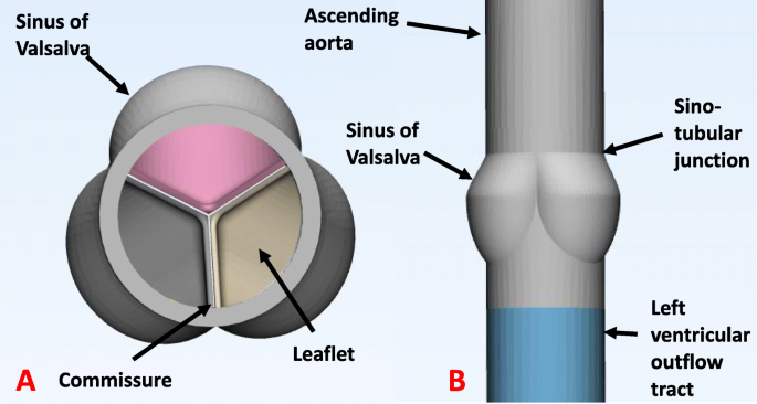 Simulation Of Semilunar Valve Function Computer Aided Design 3d Printing And Flow Assessment With Mr 3d Printing In Medicine Full Text Simulation Of Semilunar Valve Function Computer Aided Design 3d Printing And Flow Assessment With Mr 3d Printing In Medicine Full Text
