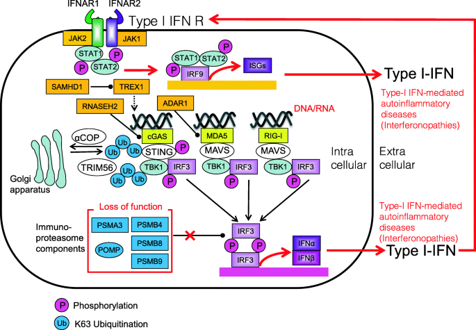 figure 17