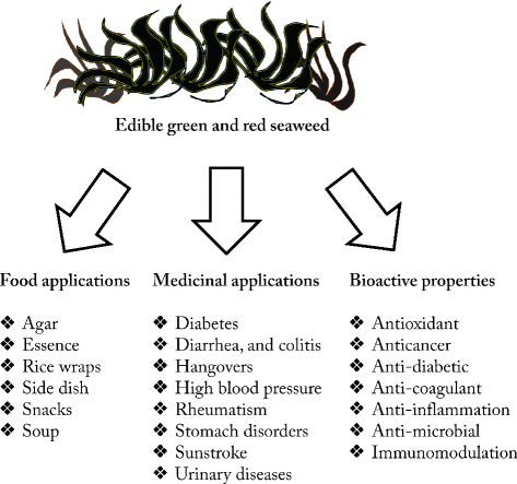 Nutrients and bioactive potentials of edible green and red seaweed in Korea | | Full Text
