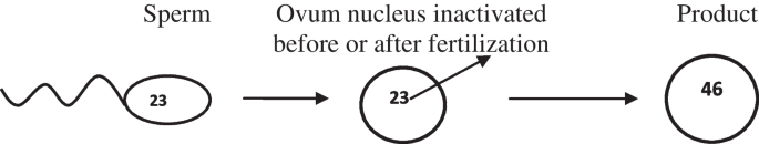 figure c