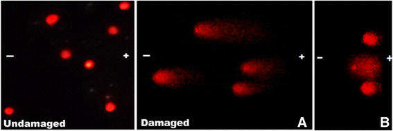 figure 26