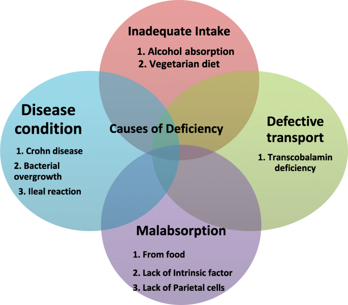 Deficiency of vitamin B12 and its relation with neurological disorders: a  critical review | The Journal of Basic and Applied Zoology | Full Text