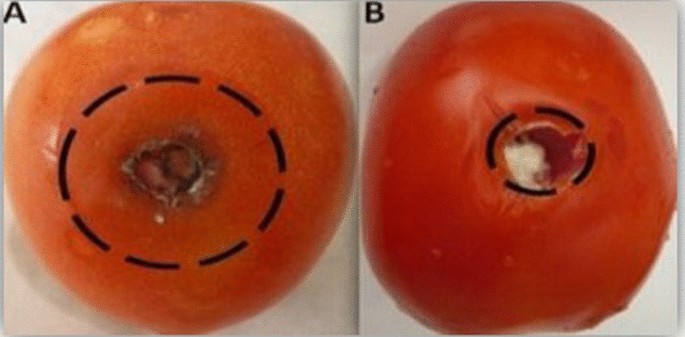 figure 15