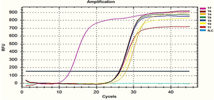 figure 19