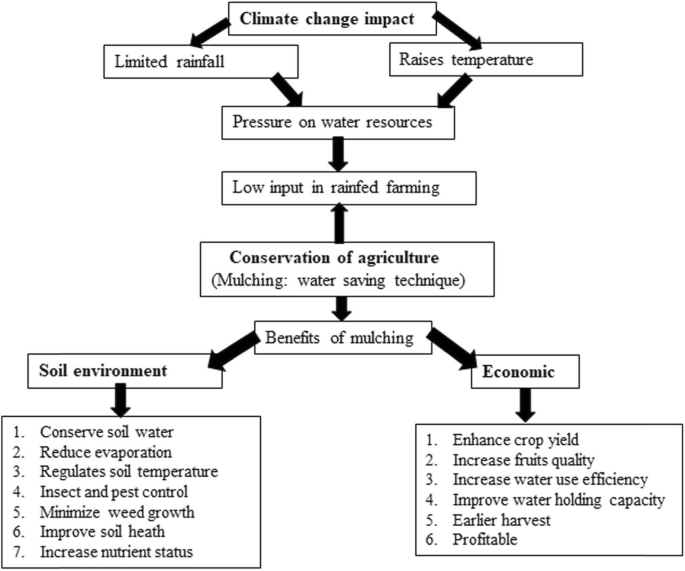 what are the benefits of mulching