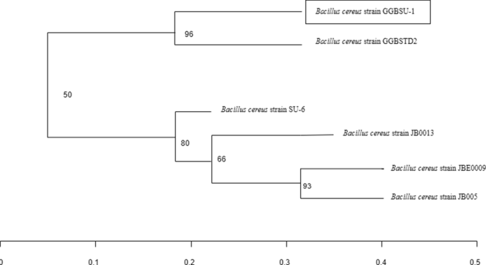 figure 15