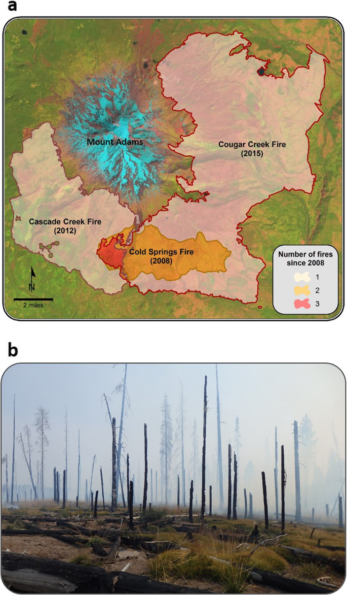 Spatial and temporal expansion of global wildland fire activity in response  to climate change