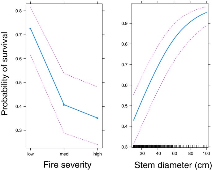 Fire severity and tree size affect post-fire survival of Afrotemperate  forest trees | Fire Ecology | Full Text