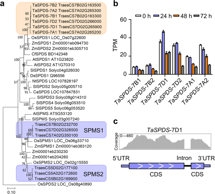 research findings yield figure 2