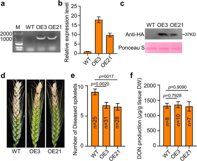 research findings yield figure 3