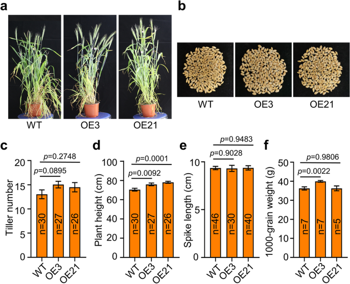 research findings yield figure 4