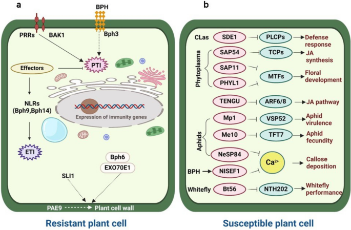 Placeholder untuk image ini