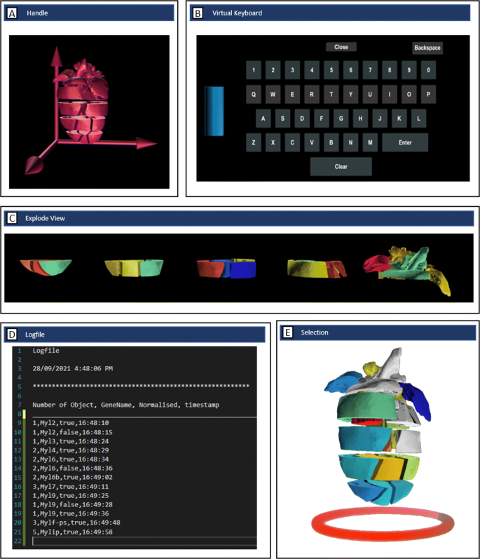 Spatially resolved transcriptomics: advances and applications